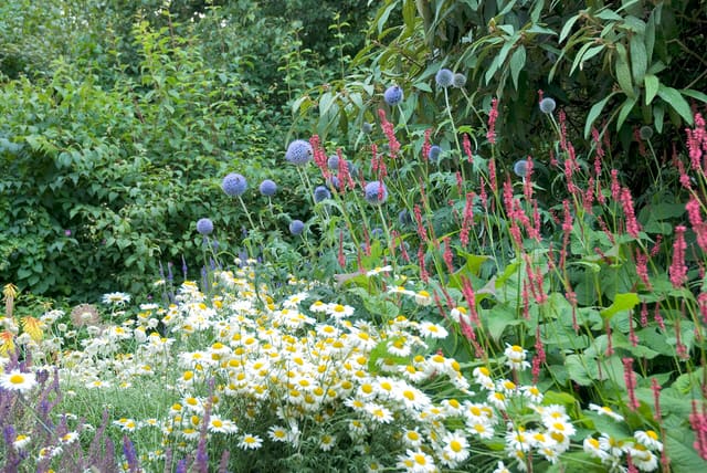 Landscape Design