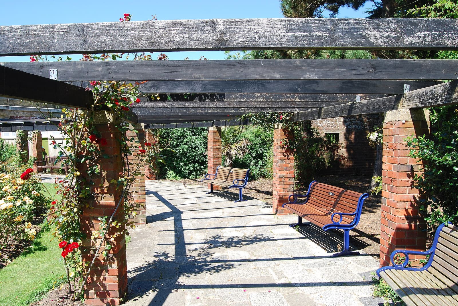 Rose-covered pergola walkway with garden benches